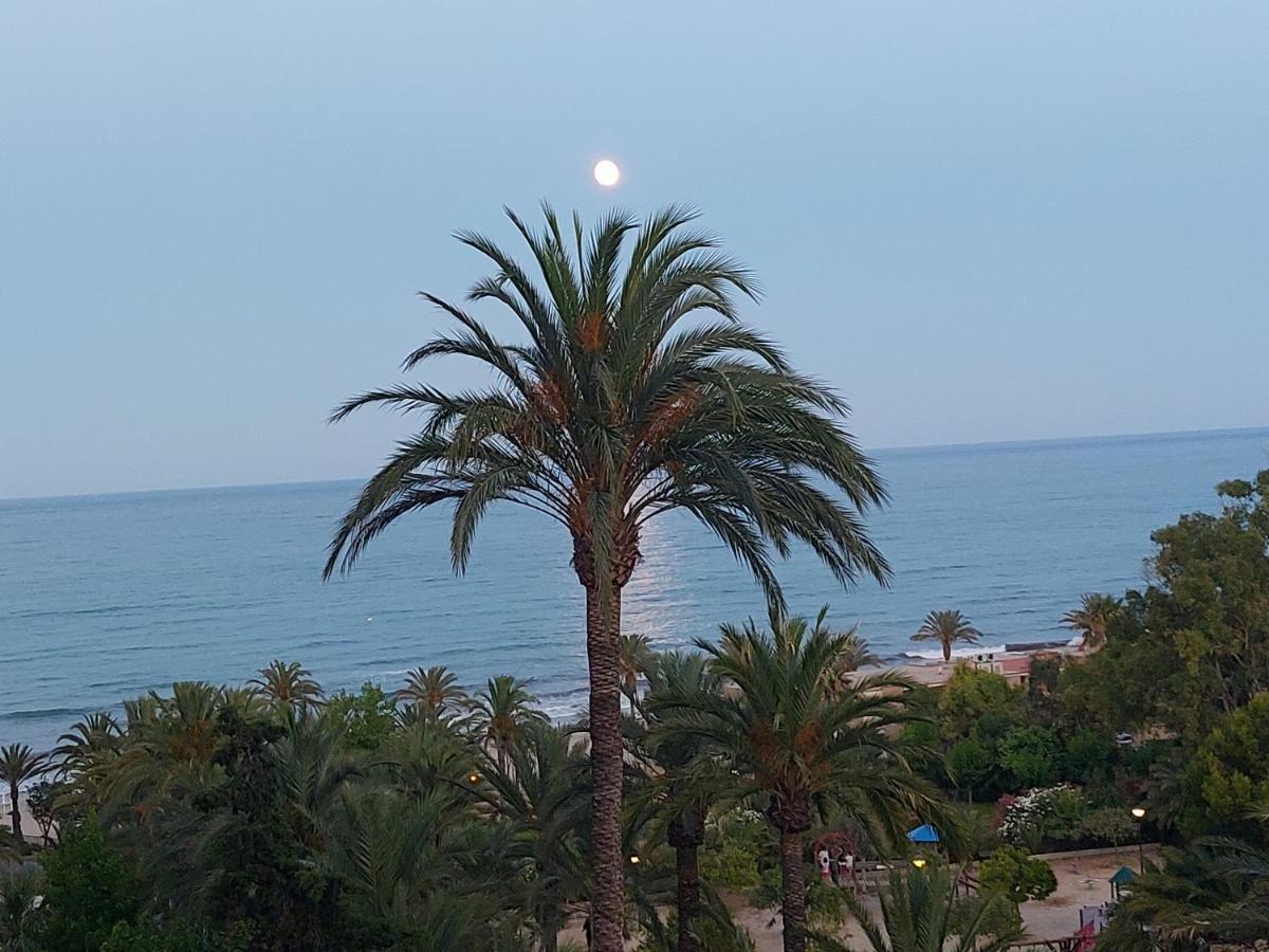 Barbara 20 Playa Muchavista Alicante El Campello Zewnętrze zdjęcie
